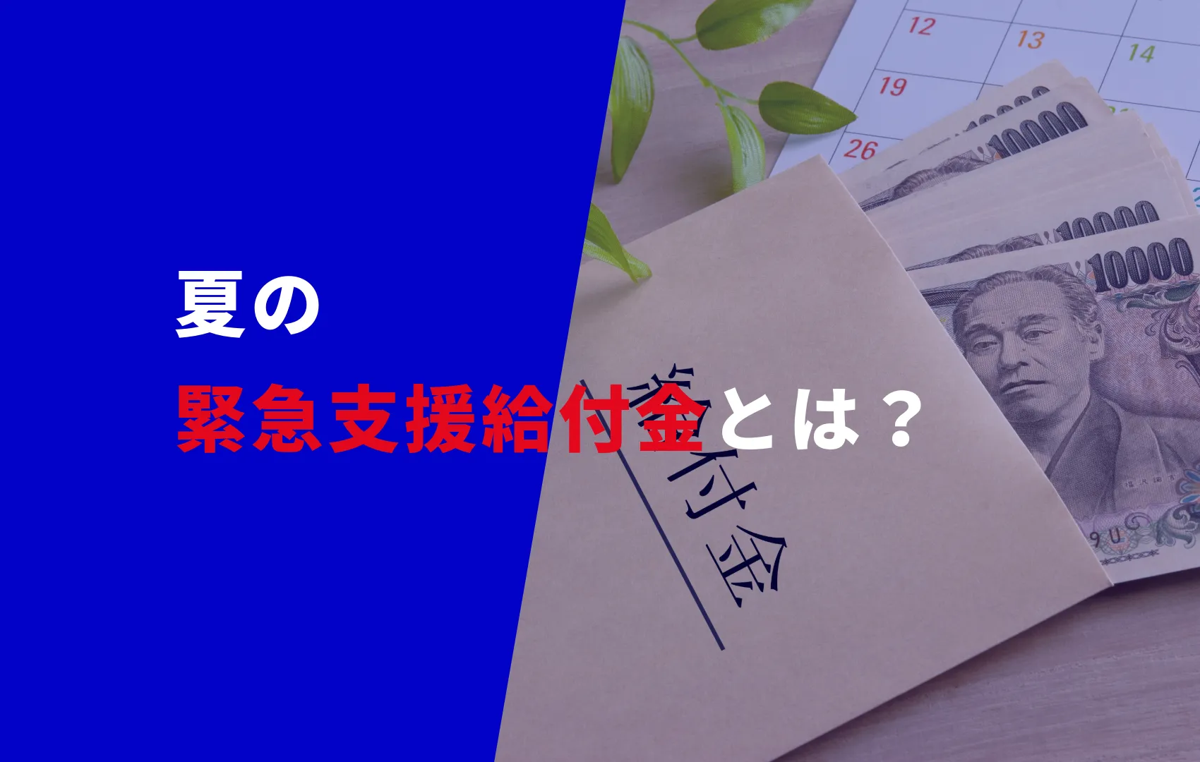 夏の緊急支援給付金