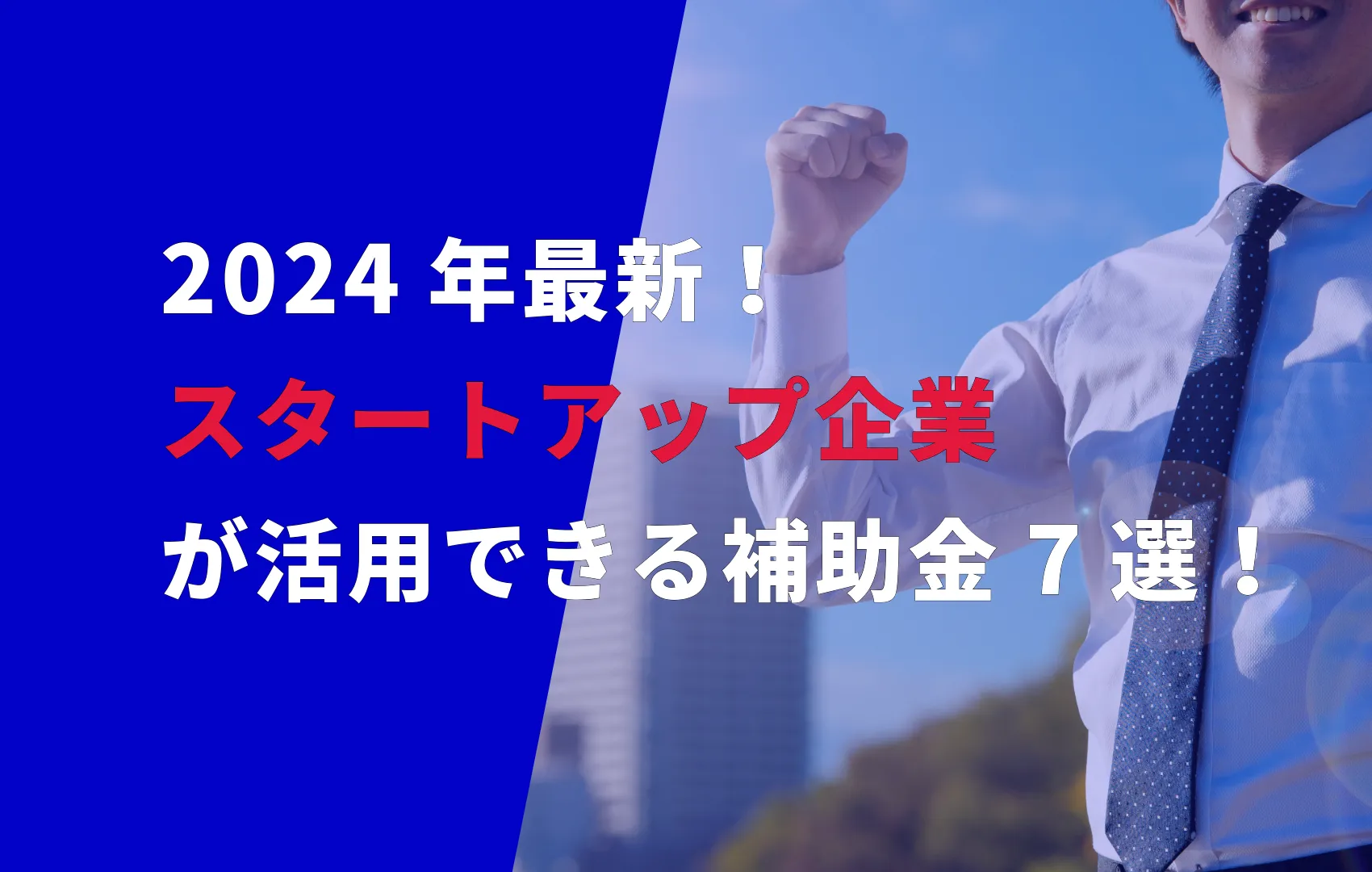 【2024年最新】スタートアップ企業が活用できる補助金7選！